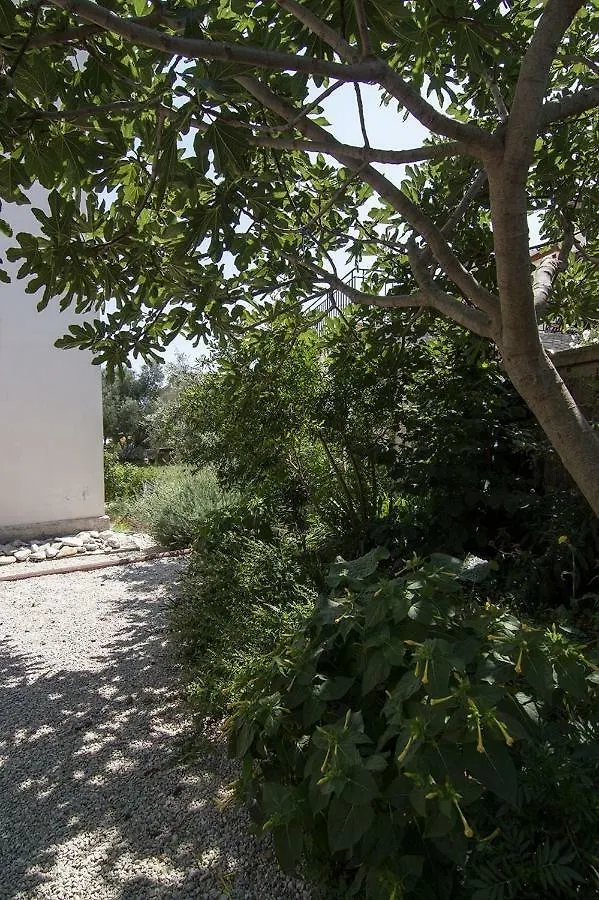 Διαμέρισμα Apartman Iva Ližnjan Κροατία